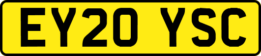 EY20YSC