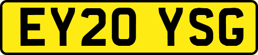 EY20YSG