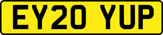 EY20YUP