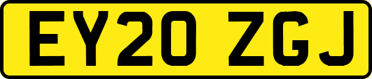 EY20ZGJ