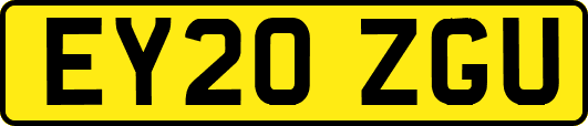 EY20ZGU