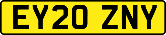 EY20ZNY