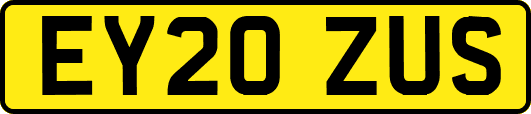 EY20ZUS