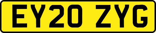 EY20ZYG