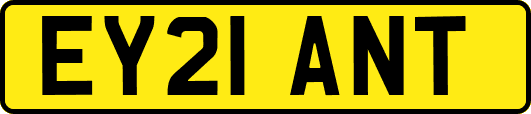 EY21ANT