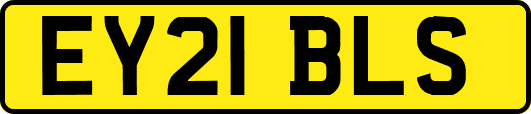 EY21BLS