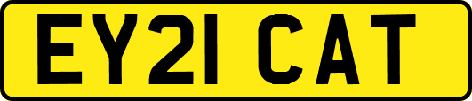 EY21CAT