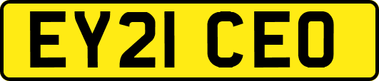 EY21CEO