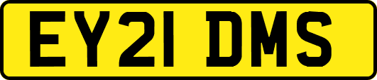 EY21DMS