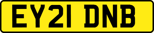 EY21DNB