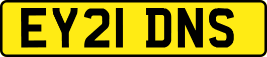 EY21DNS