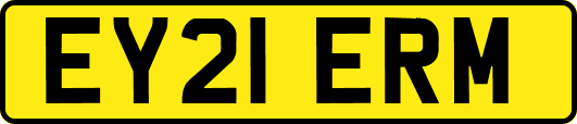 EY21ERM