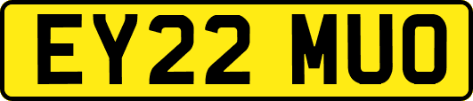 EY22MUO