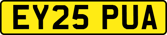EY25PUA