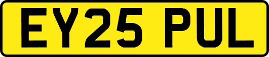 EY25PUL