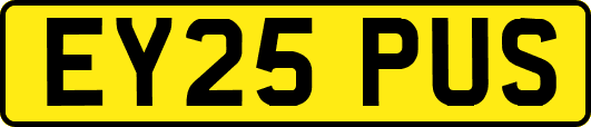 EY25PUS