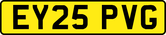 EY25PVG