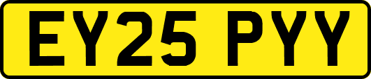 EY25PYY