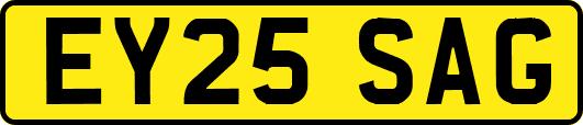 EY25SAG
