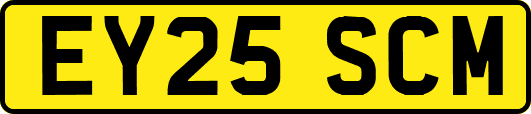 EY25SCM