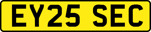 EY25SEC