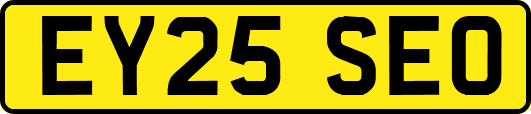 EY25SEO