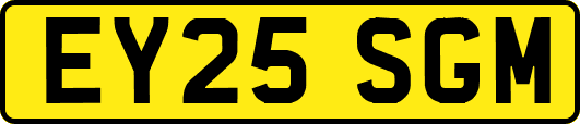 EY25SGM