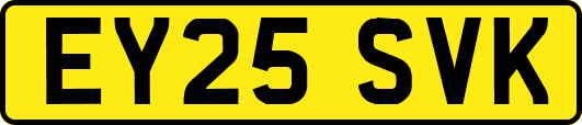 EY25SVK