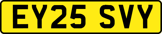EY25SVY