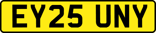 EY25UNY