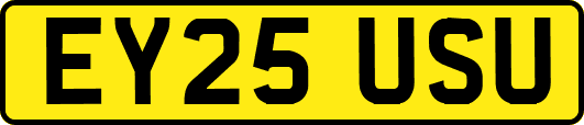 EY25USU