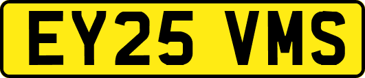 EY25VMS