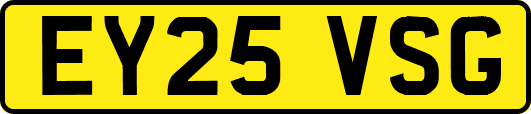 EY25VSG