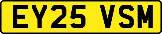 EY25VSM