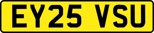EY25VSU
