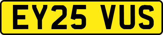 EY25VUS