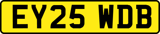 EY25WDB