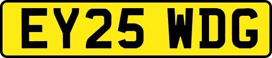 EY25WDG