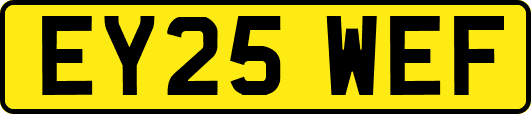 EY25WEF