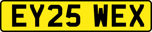 EY25WEX
