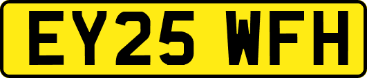 EY25WFH