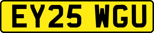 EY25WGU