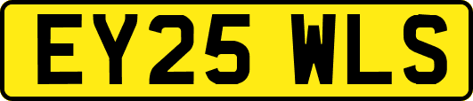 EY25WLS