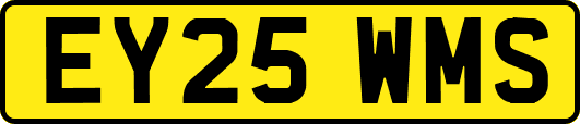 EY25WMS