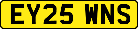 EY25WNS