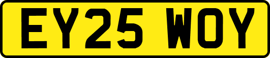 EY25WOY
