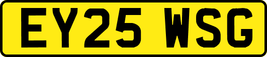 EY25WSG