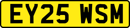 EY25WSM