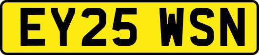 EY25WSN