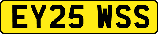 EY25WSS